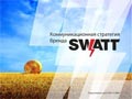 Бренд-консалтинг услуги для бренда SWATT